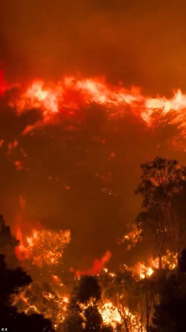 Sicily is burning with raging wildfires as Europe braces for a 47C blowtorch heatwave