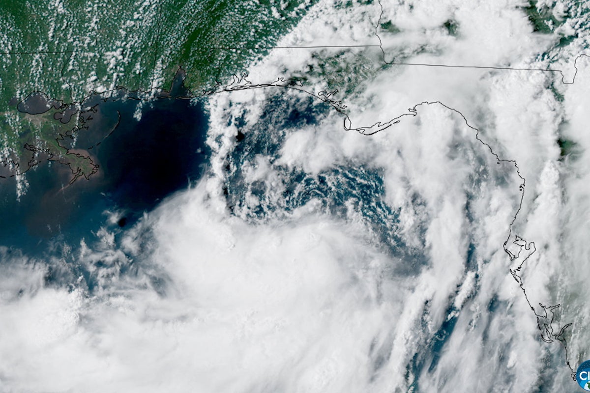 A satellite view of Tropical Storm Bertha forming over the eastern Gulf of Mexico, near Florida