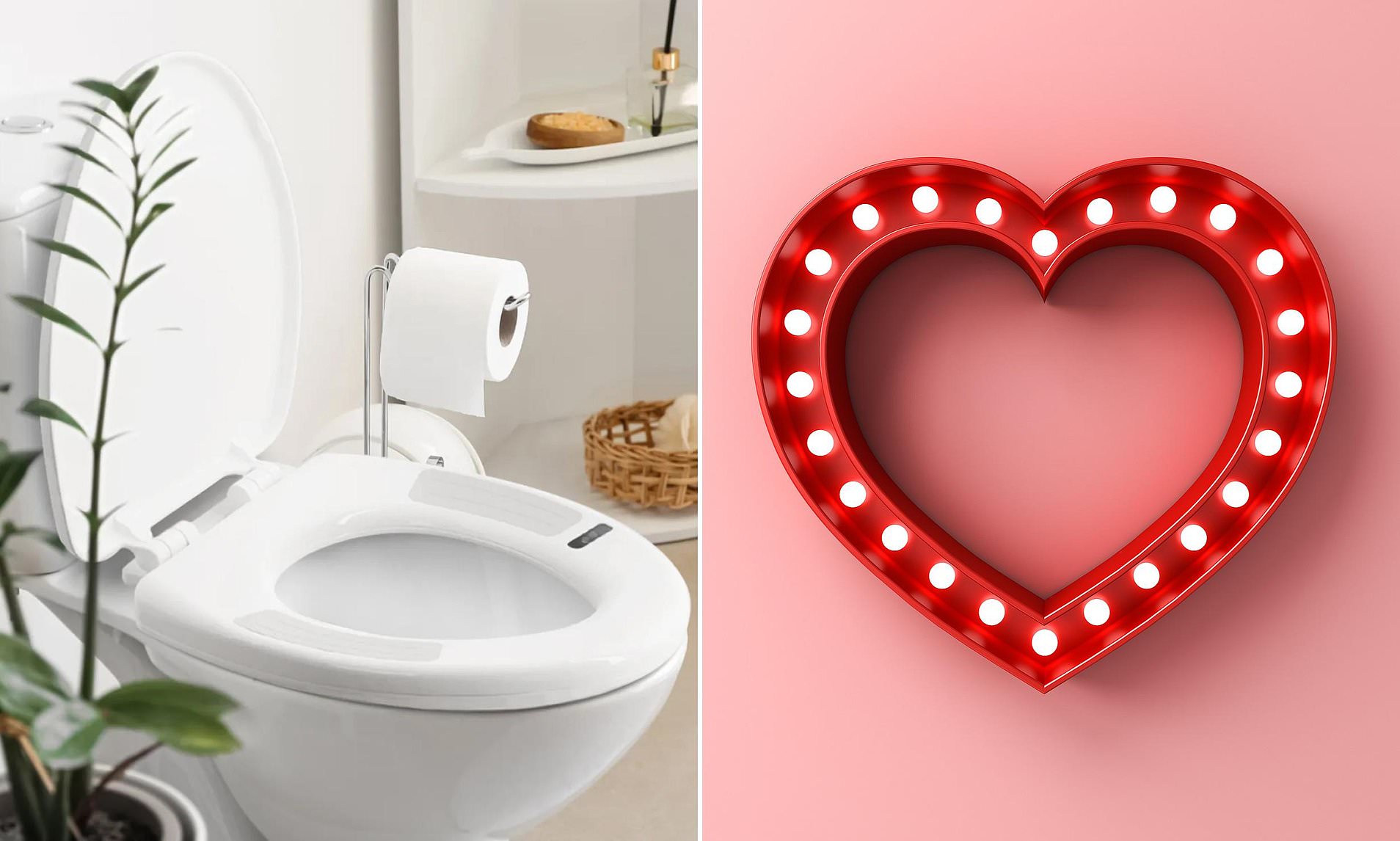 The 'smart loo' that spots heart problems before you have any symptoms