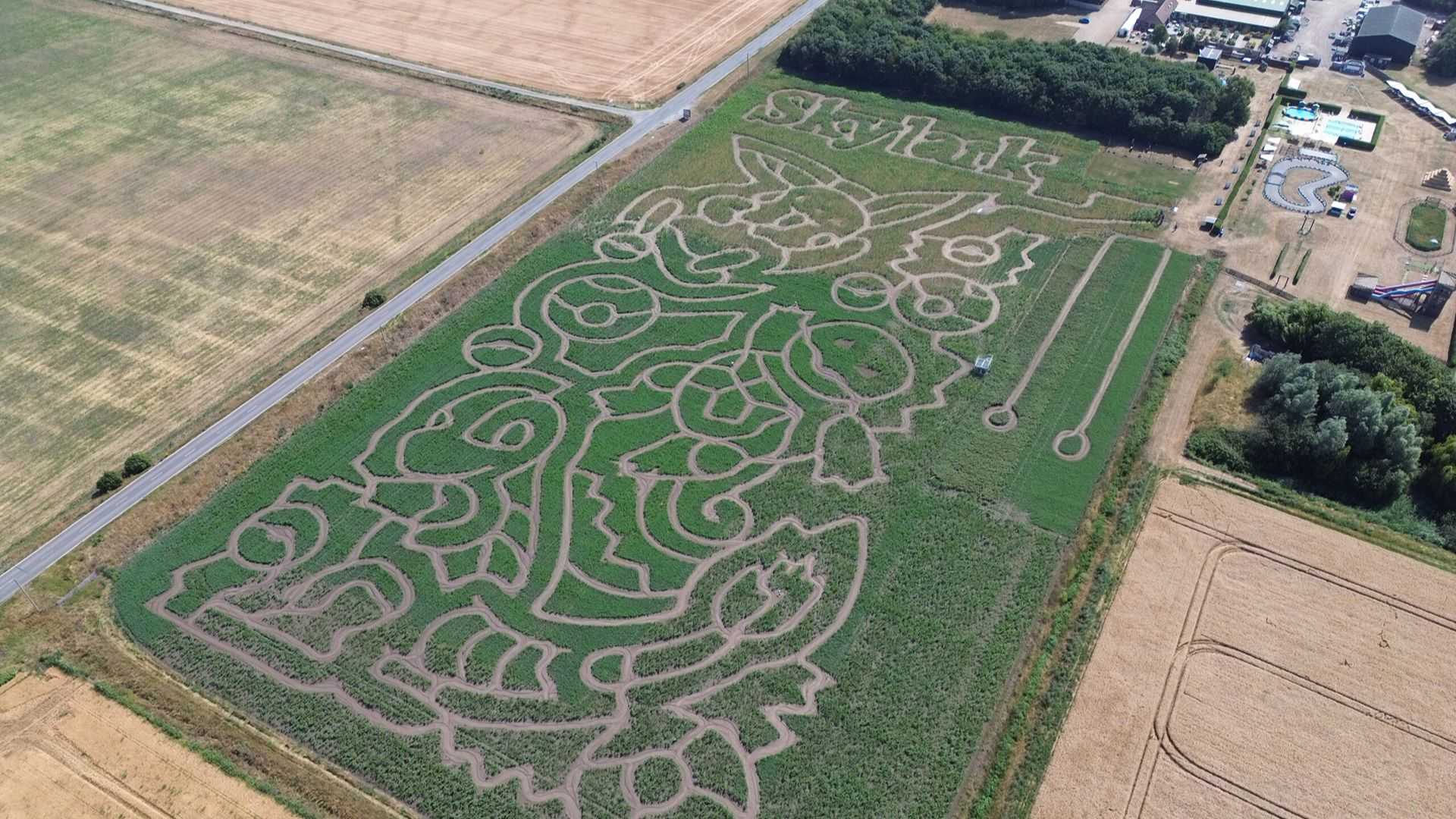 Pokemon 30th anniversary maze pikachu