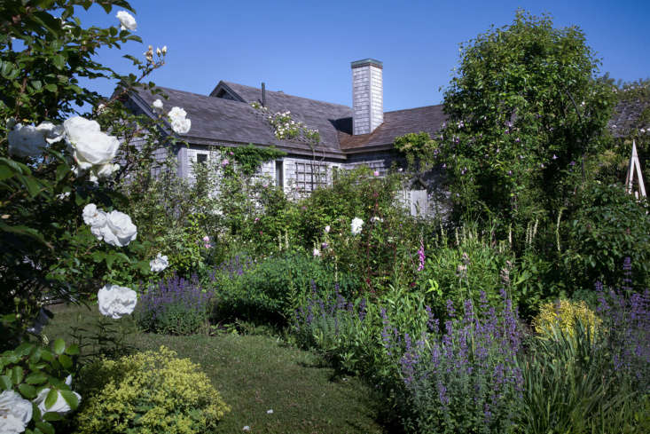 Cape Cod Cottage Garden path