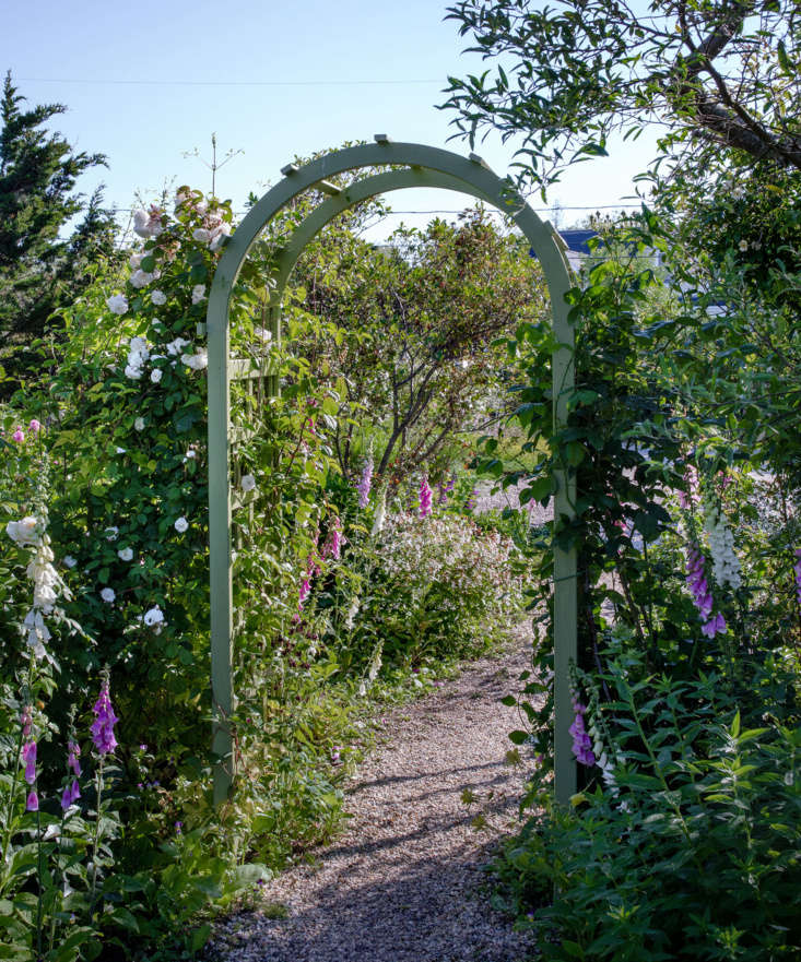 Cape Cod Cottage Garden arch