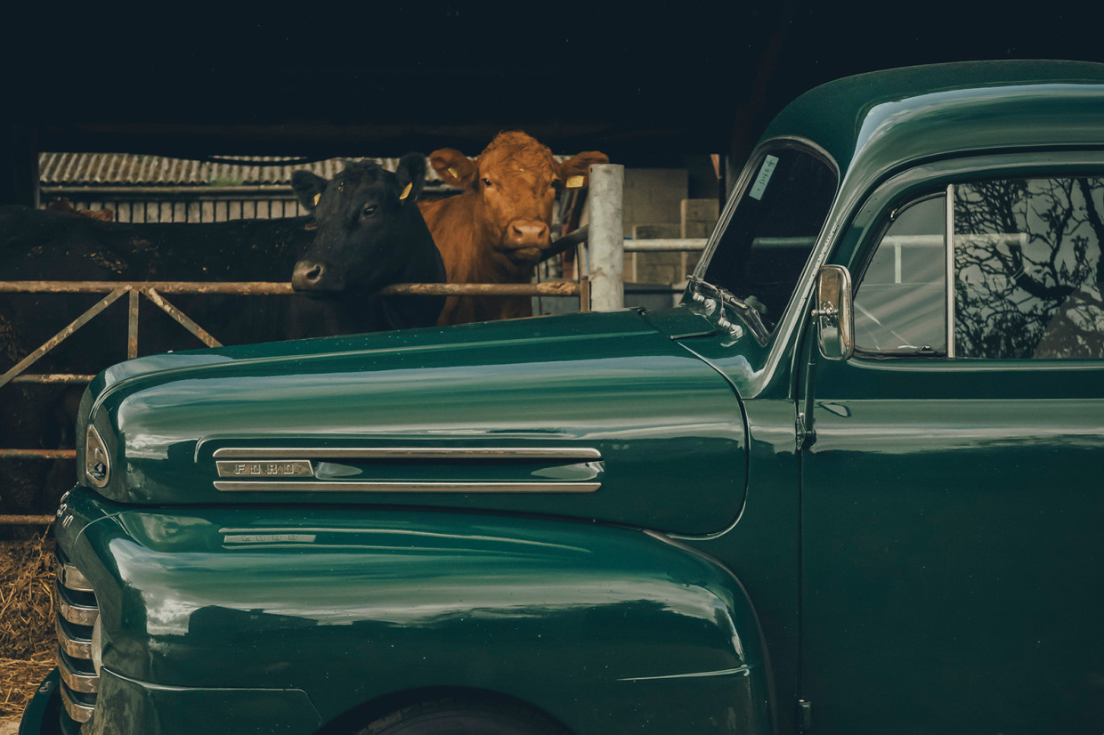 The Ford F-Series classic pick-up truck on a farm
