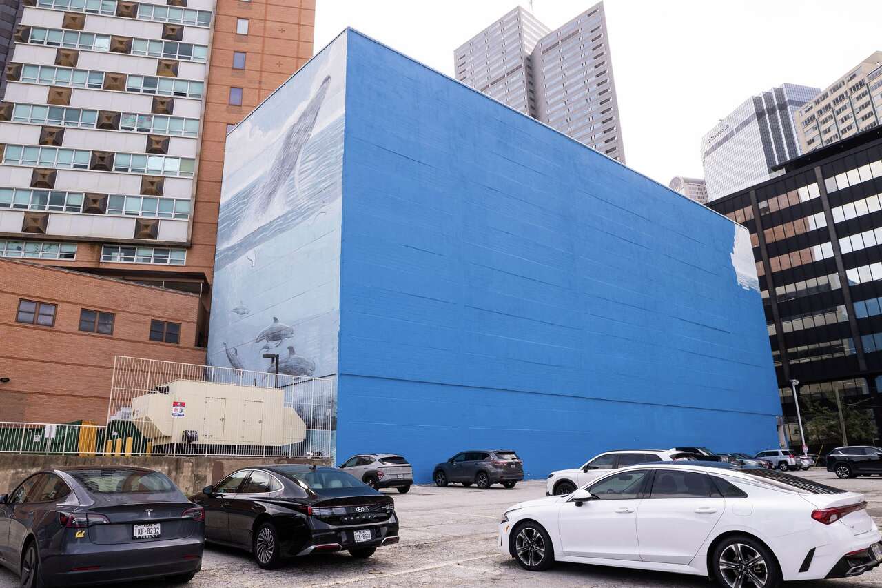 That whale mural supposed to be a FIFA mural? It's just a big blue wall. What do you want to see in its place?