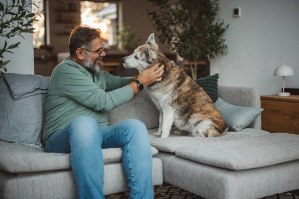 8 Small Daily Habits That Help Dogs Feel Secure and Loved
