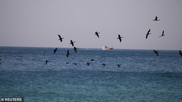 A vessel at the Strait of Hormuz, as seen from Musandam, Oman, July 20