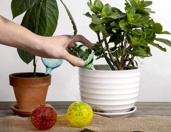 5 tools and gadgets that make summer gardening a breeze, Besti Self Watering Globes image via Amazon