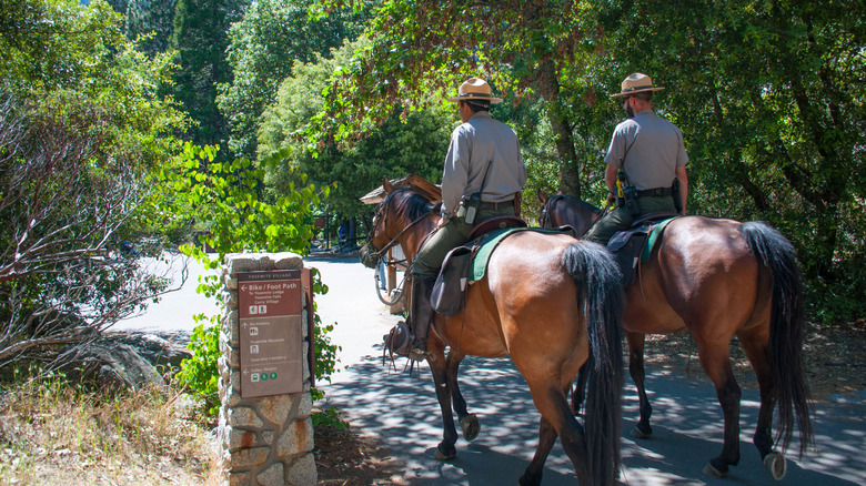 Yosemite rangers on horseback