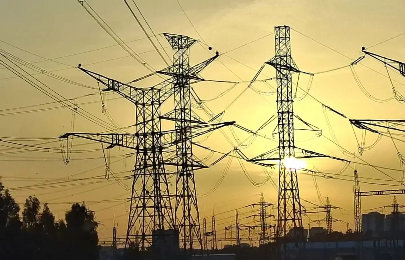 Electricity poles