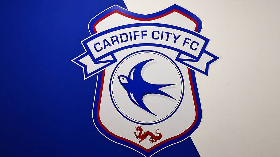 Wales v Bosnia and Herzegovina - FIFA World Cup 2026 European Qualifiers KO Play-off