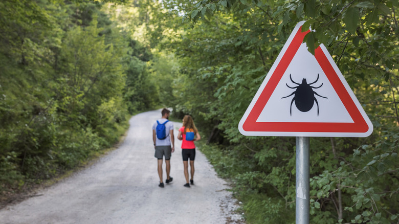 two people walking into area that has high tick risk