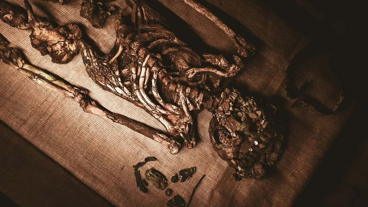 200-year-old newborn remains reveal remarkable preservation in crypt find
