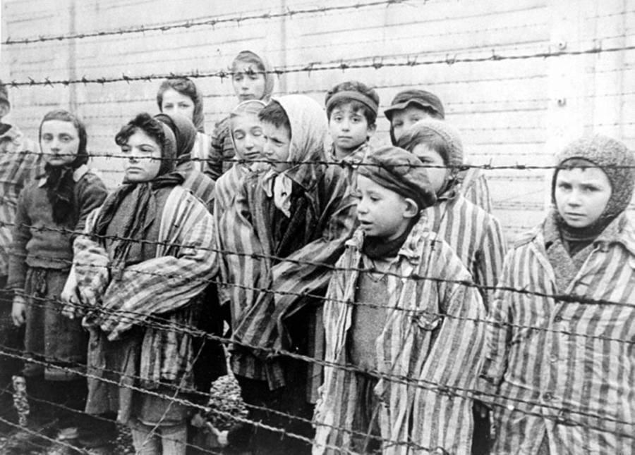 Holocaust Survivors