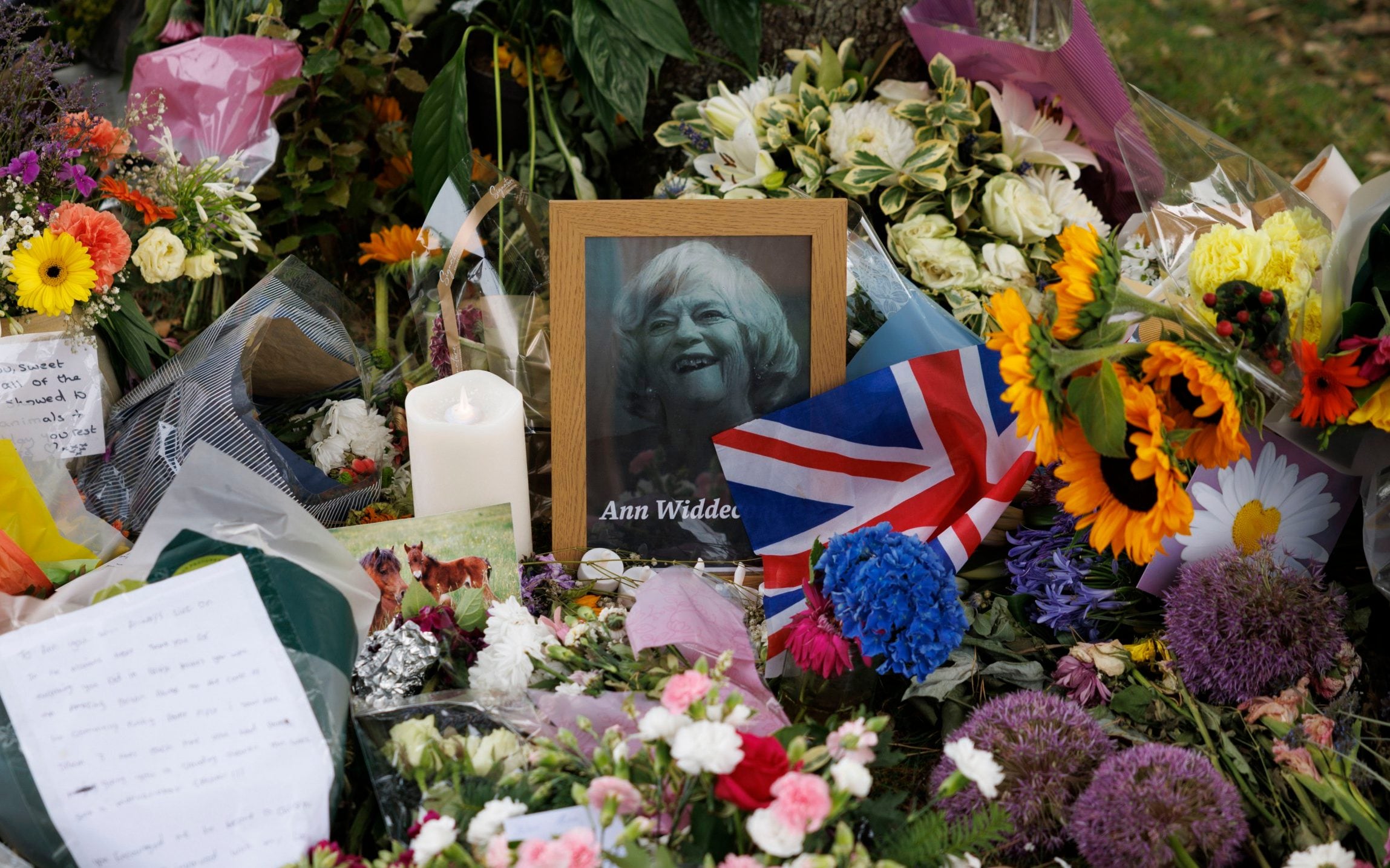 Miss Widdecombe was a Tory MP between 1987 and 2010 before defecting to the Brexit Party