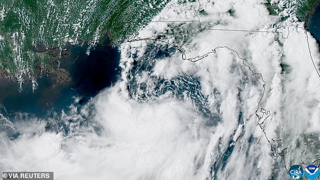 Pictured: Tropical Storm Bertha forming in the Gulf of America
