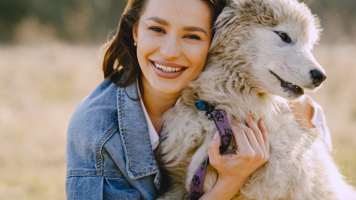 International Dog Day: Why dogs make us happier, according to science