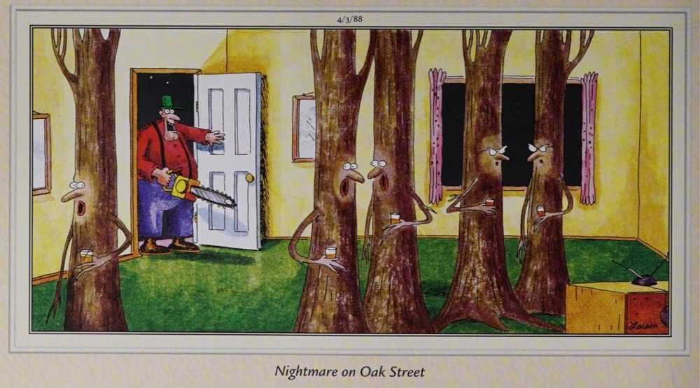 A house full of living oak trees.