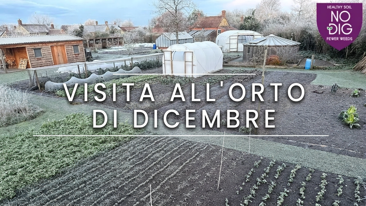 Tour invernale: orto e scorte, compost e preparazione delle aiuole no dig