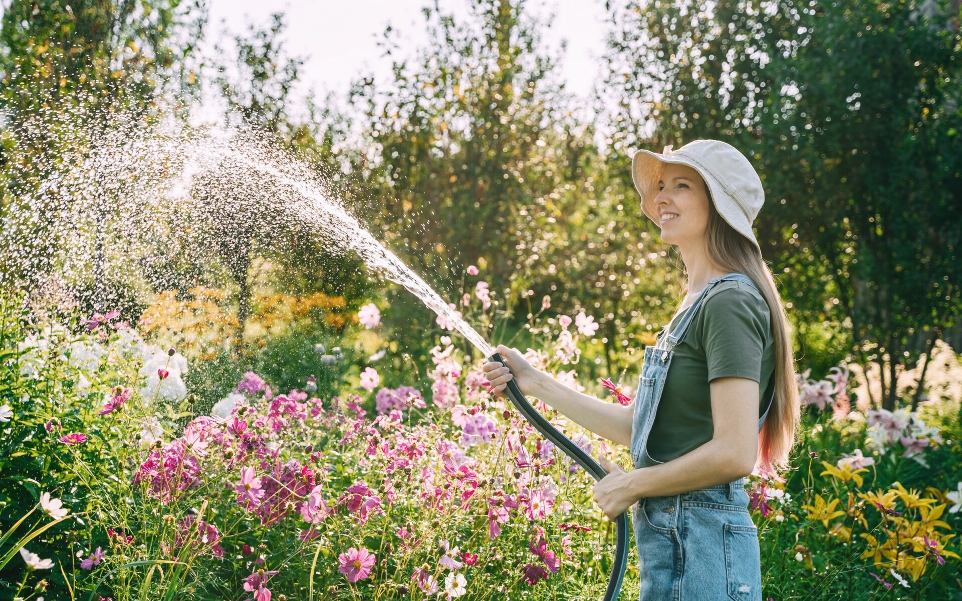 Thames Water is the sixth water company to introduce a hosepipe ban in Britain's hot, dry weather conditions