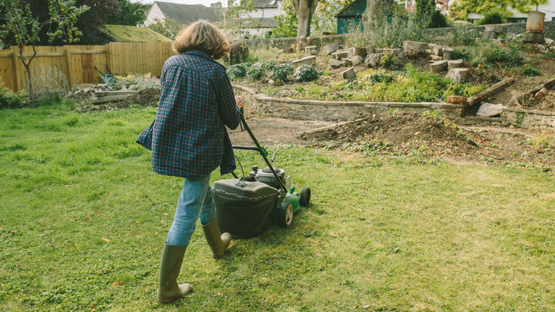 The biggest mistake to avoid when buying a new lawn mower