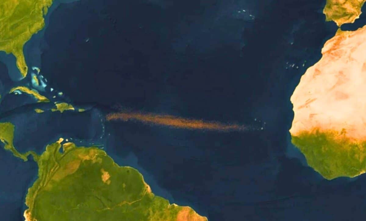A continent-spanning brown ribbon is surging through the Atlantic… scientists see a major red flag
