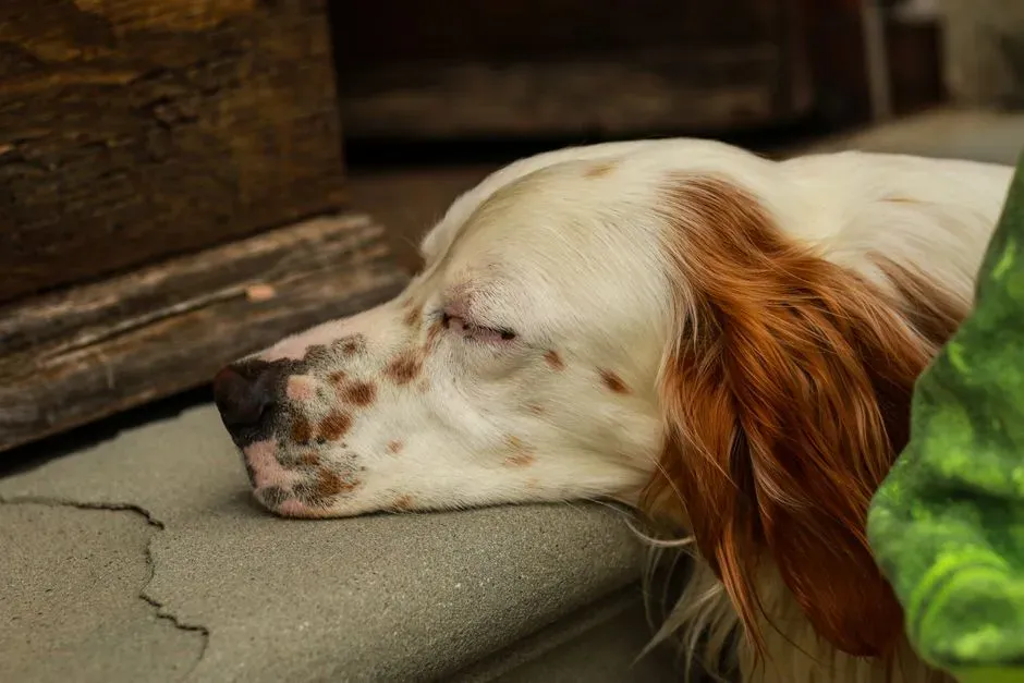 Head and neck raised (Image Credits: Pexels)