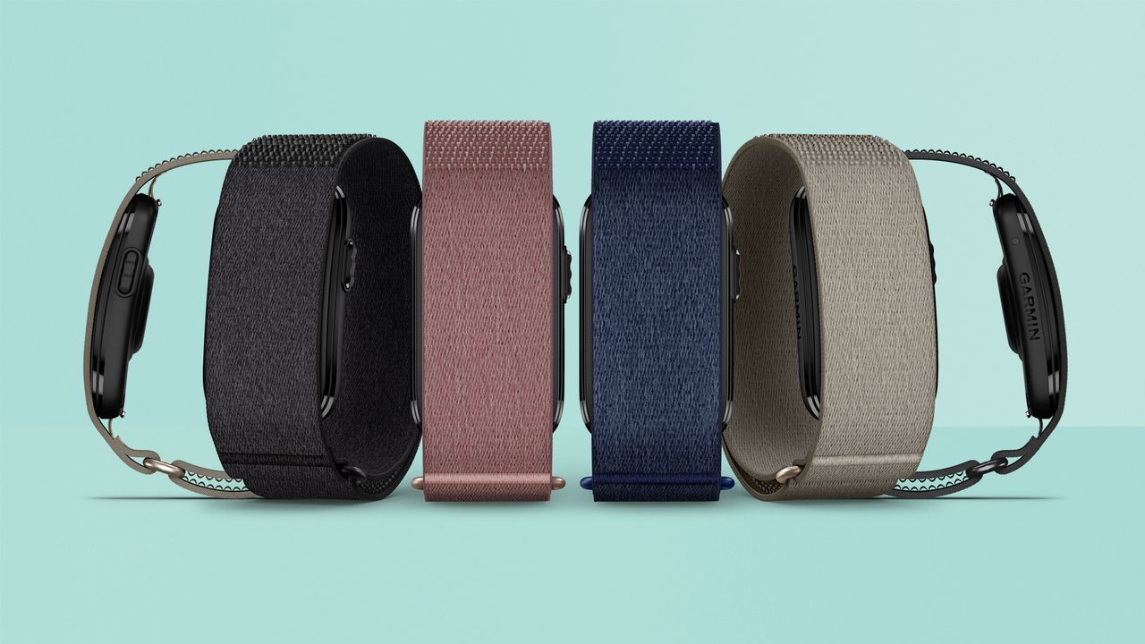 Garmin Cirqa Smart Band