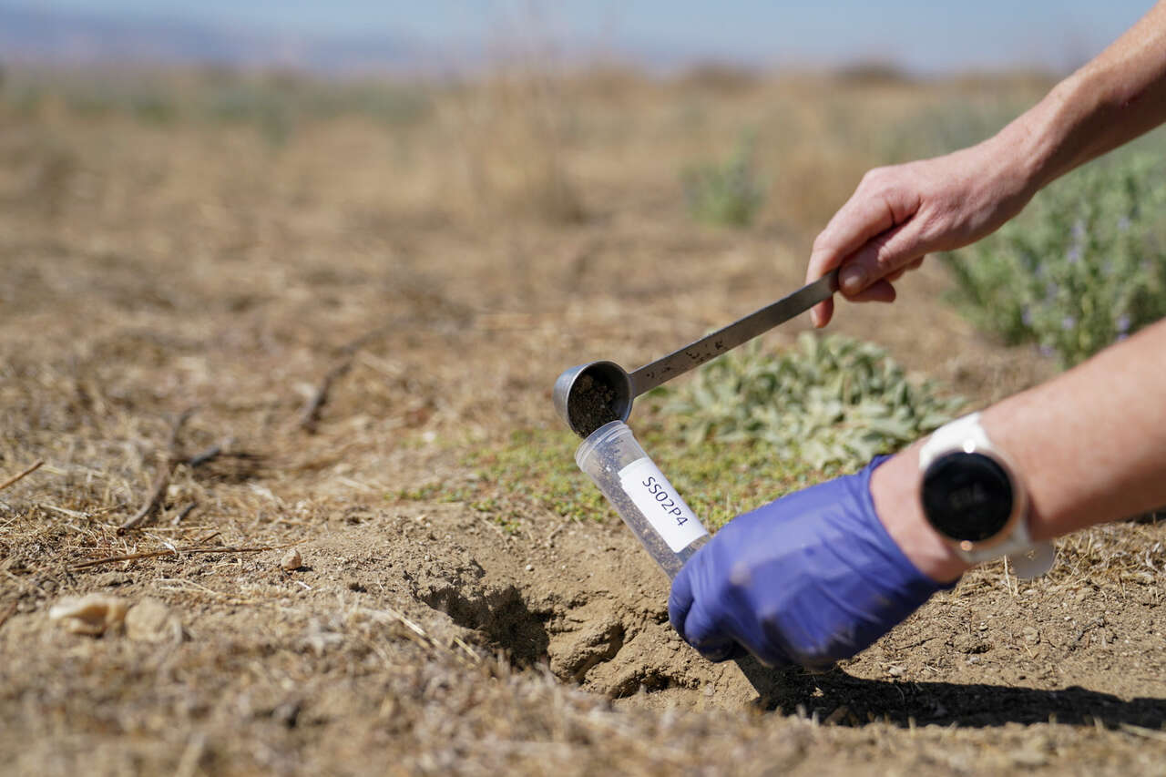 New drug targets Calif. disease that 'does not spare the healthy'