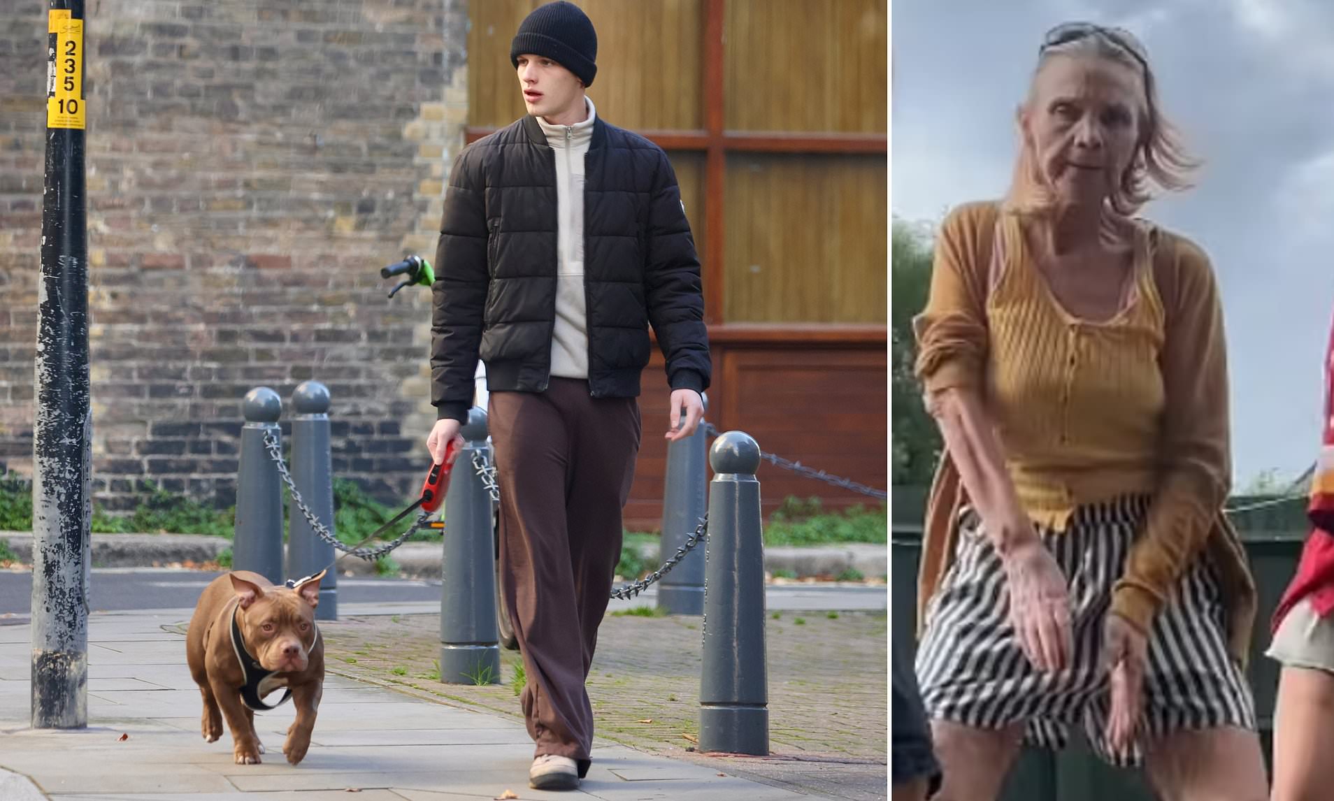 Freddy Brazier rushed to hospital after he nan were attacked by dog