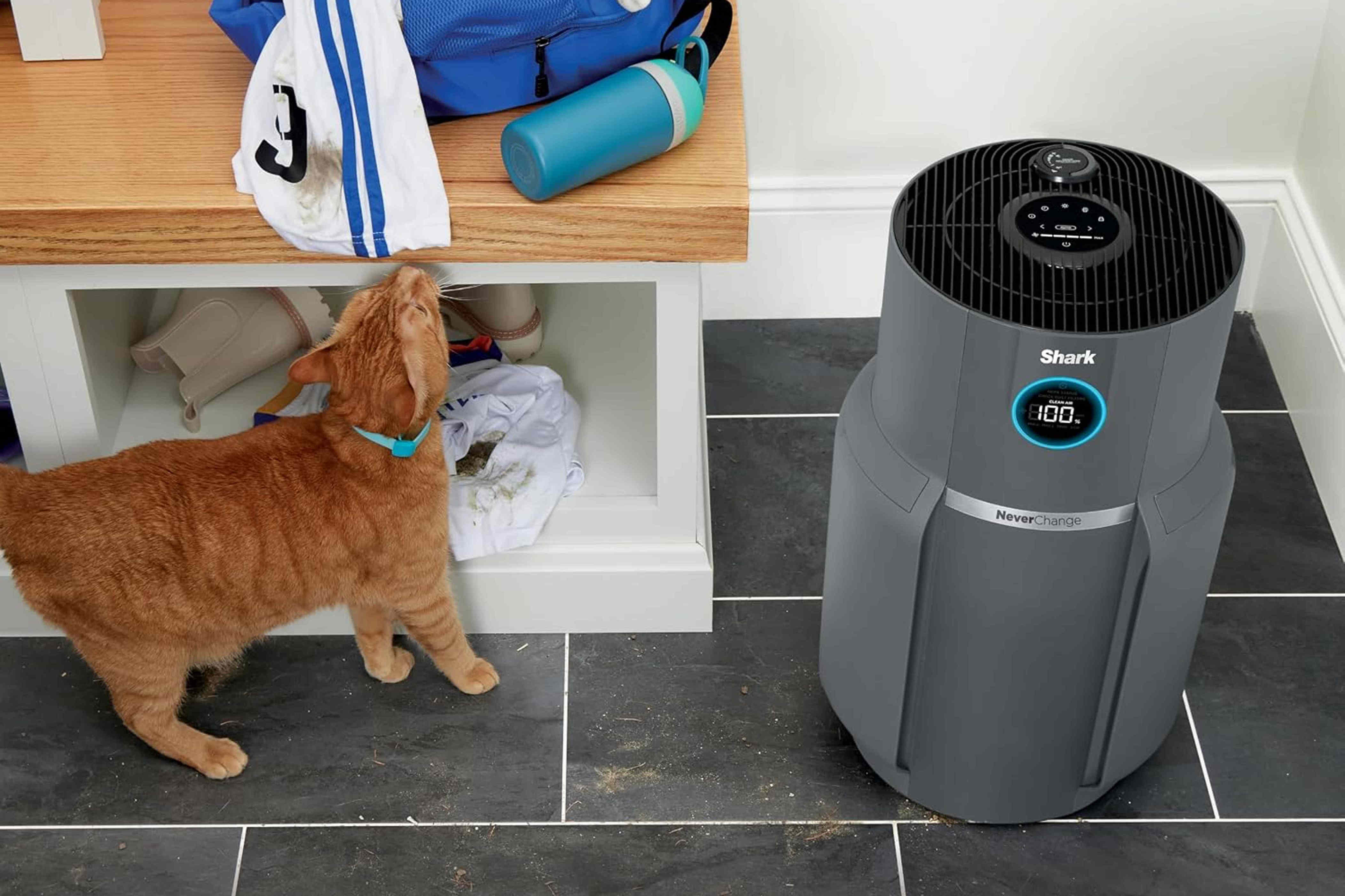 Did smoky skies make your seasonal allergies worse? We tested an air purifier that really helps