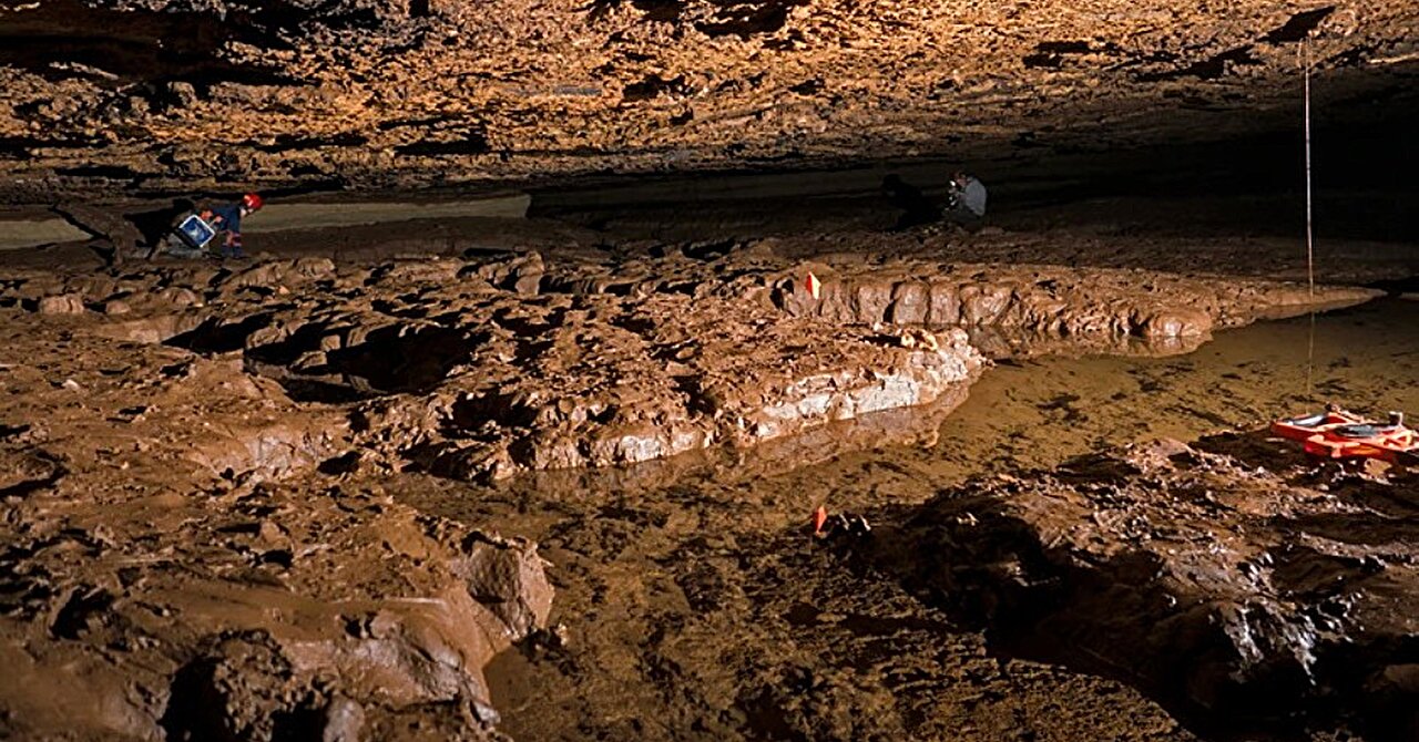 New 'demon' cavefish lineage discovered in Alabama cave
