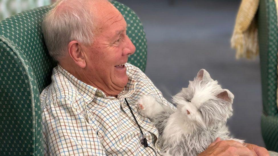 The cats are given to people to help them relax and to spark conversations
