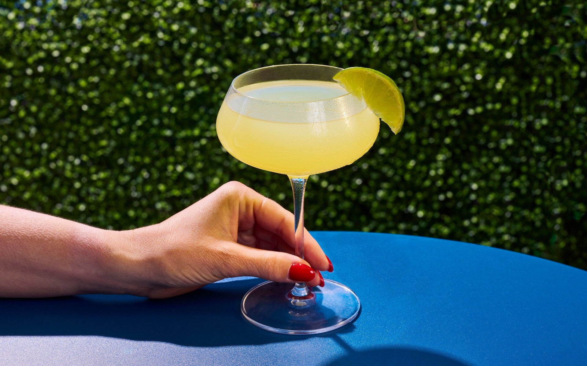 Margarita cocktail