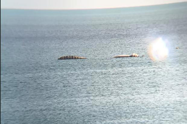 Mysterious object spotted in the sea leaves bystanders dumfounded