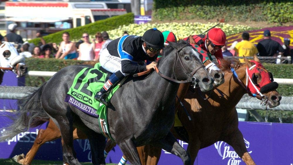 Deceptive, Dam Of Breeders' Cup Winner Mizdirection, Dies At Age 27