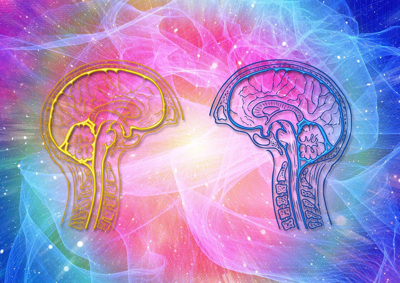Brain waves once seen as noise could help build a biological model of reality