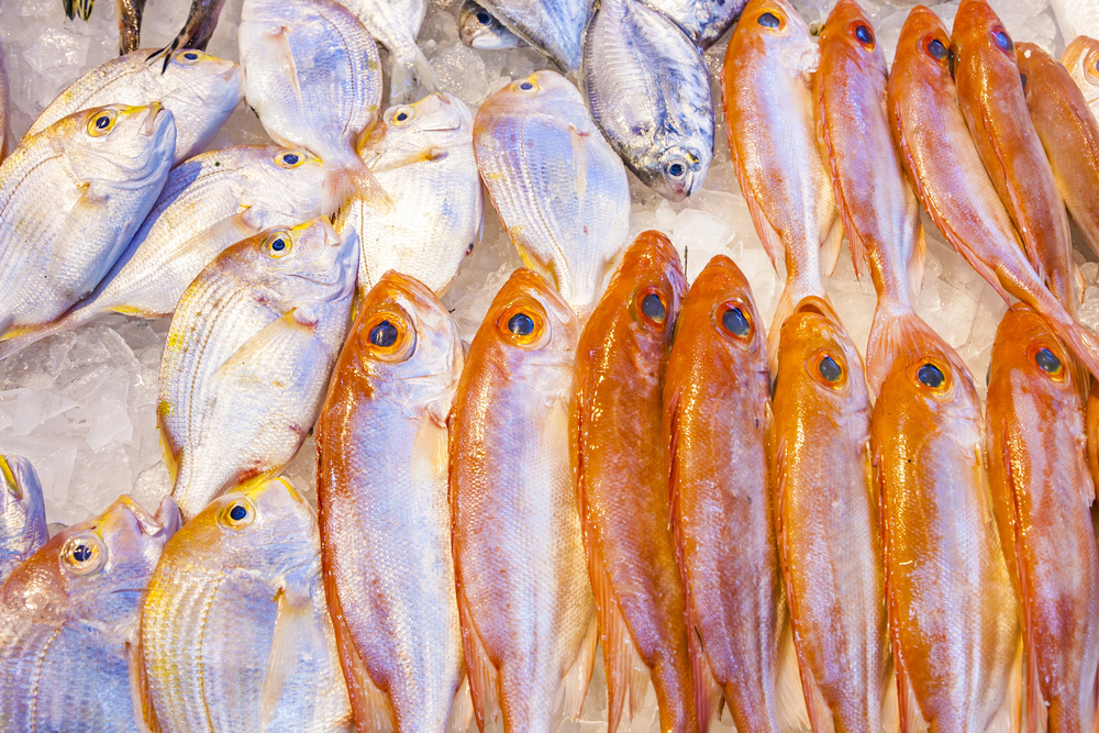 Why the smallest towns along the Gulf Coast often serve the best ...