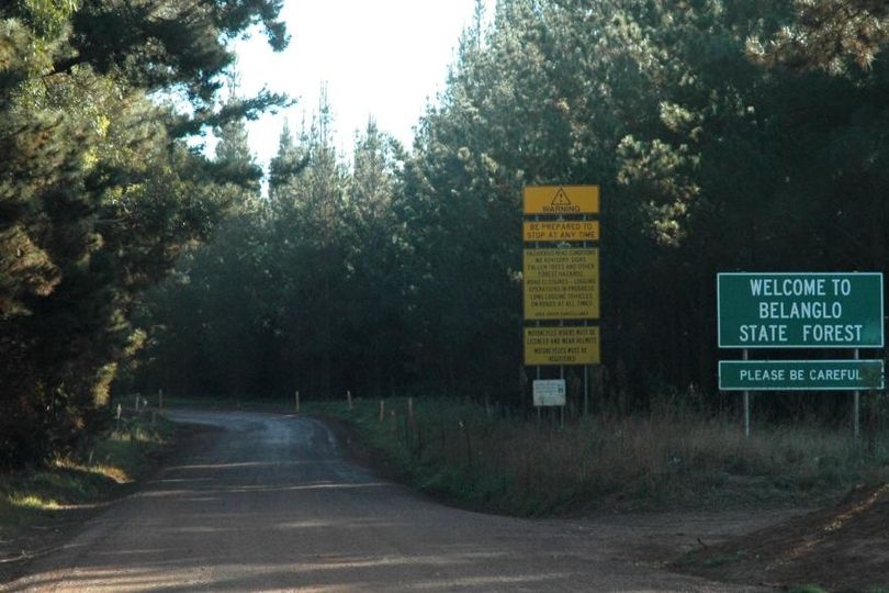 The entrance to the Belanglo State Forest, off the Hume Highway in New South Wales, Australia — it was later dubbed 'Serial Killer Forest'