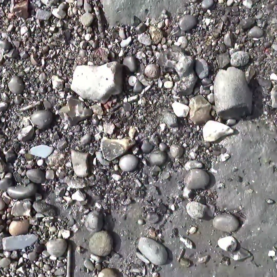 Collecting buttons from the Thames foreshore
