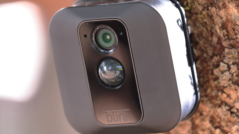 Blink XT Outdoor security camera mounted on a tree