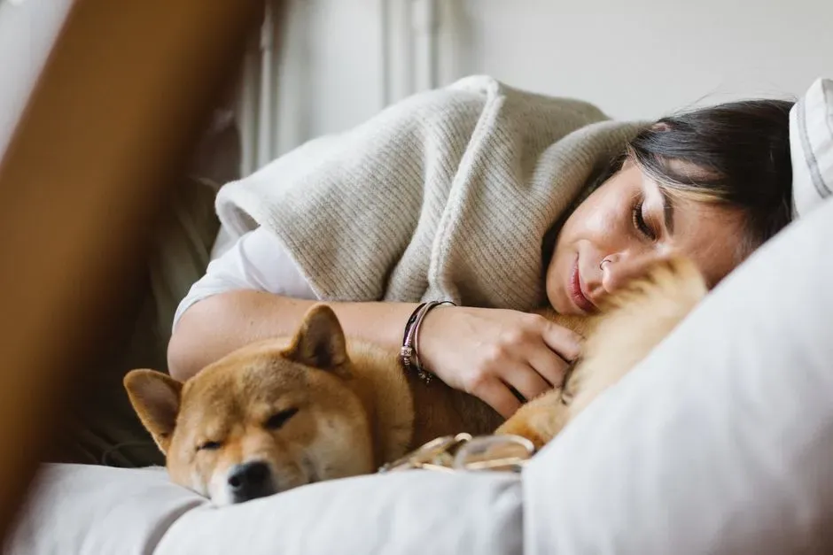 The takeaway for dog owners (Image Credits: Pexels)