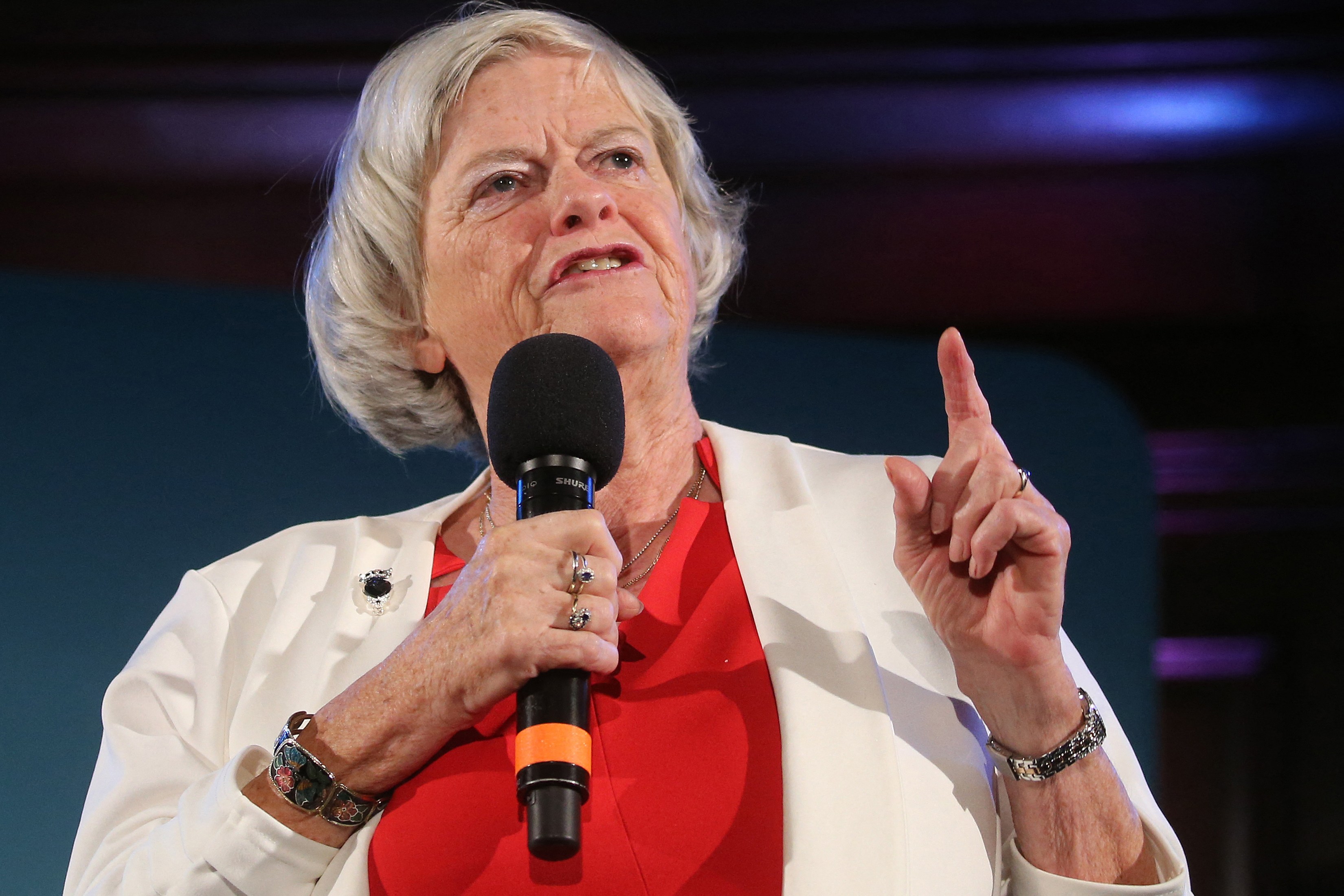 Murder suspect asked Ann Widdecombe question before ‘striking her 21 times in two minute hammer attack’