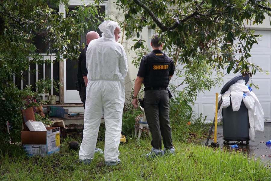 80 cats found in home of Florida mail carrier who picked up strays along her route: MCSO
