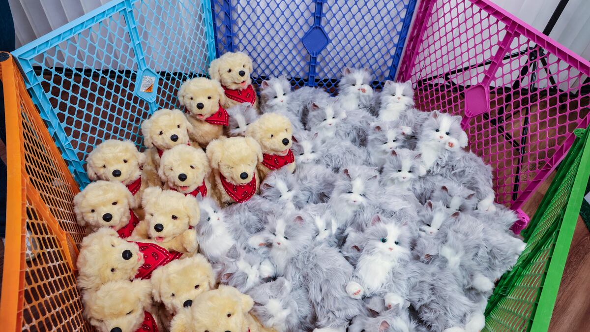 These Tampa Bay seniors’ robotic pets aren’t real. The feelings they inspire are.