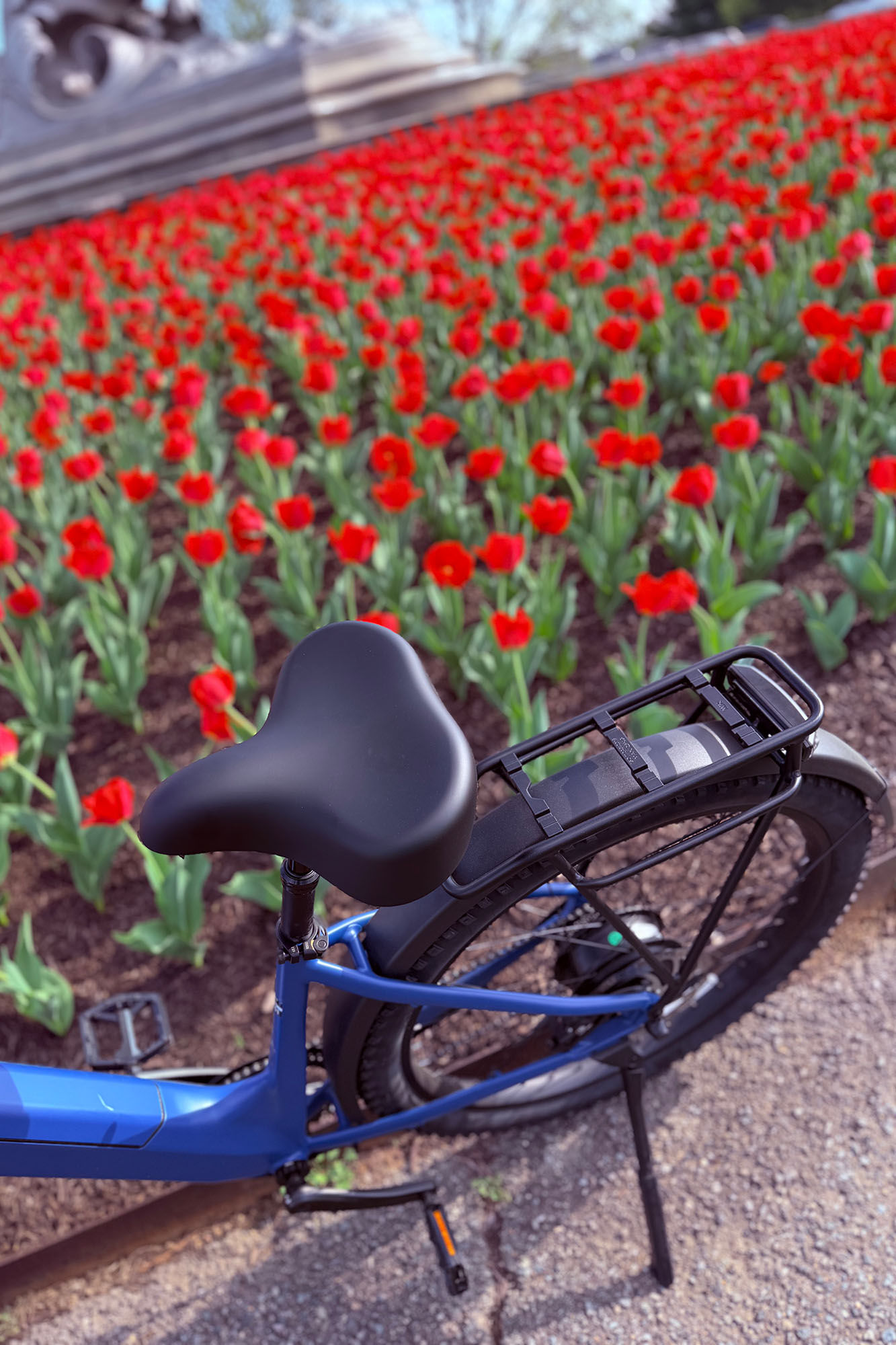 I rode this powerful ebike for hours and my butt wasn’t mad at it