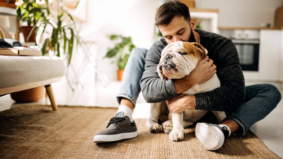 English bulldog caught sitting in on dad's work meeting—'This could have been an email'