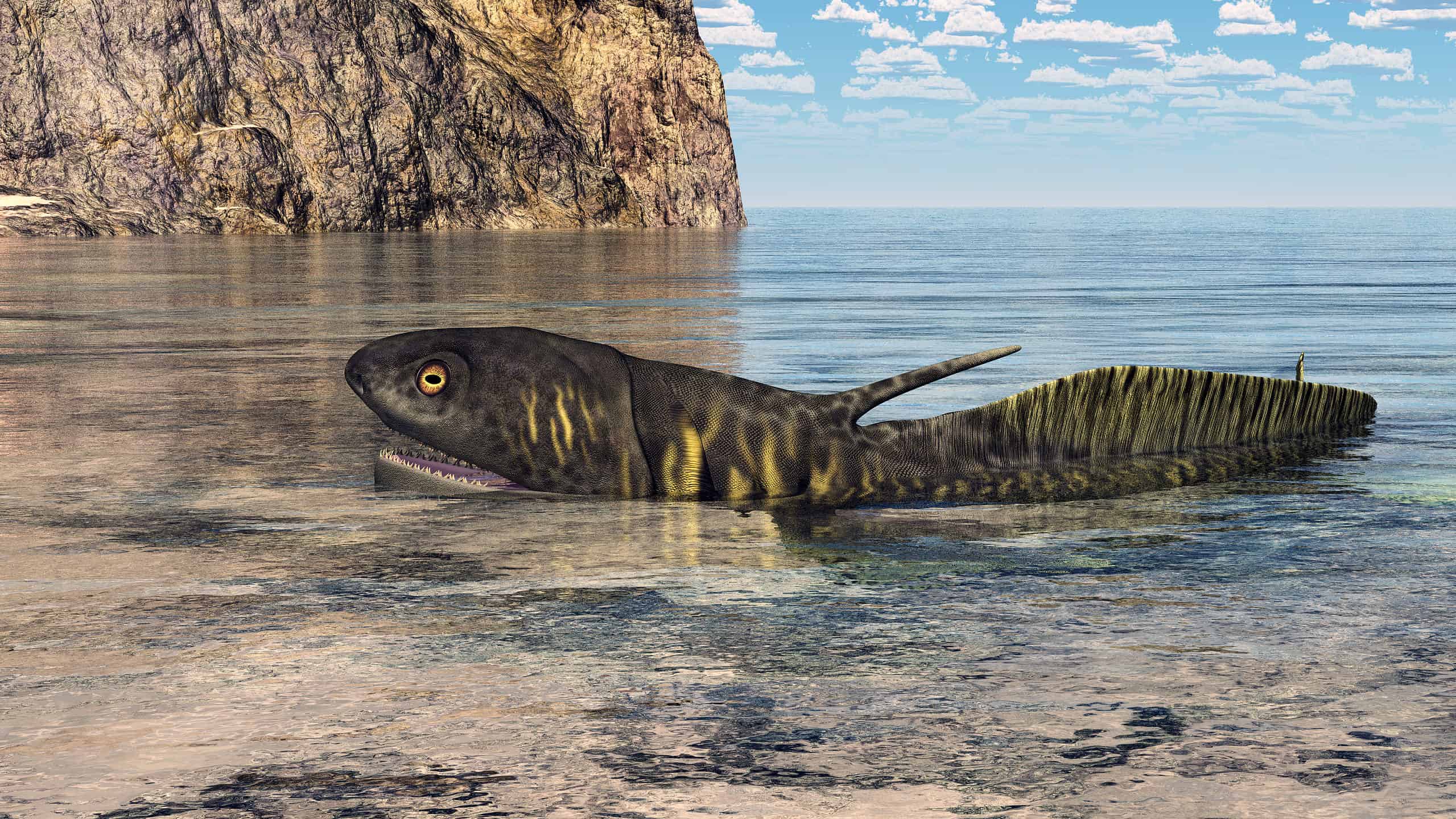 Orthacanthus