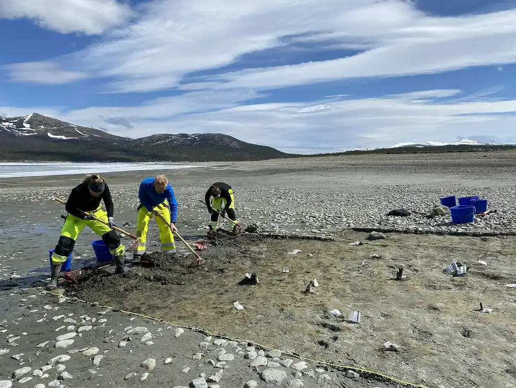 Archaeologists carefully uncover the wooden posts of a Stone Age fish trap during excavations at Lake Tesse in 2023. Credit: Ellen K. Friis / Museum of Cultural History.