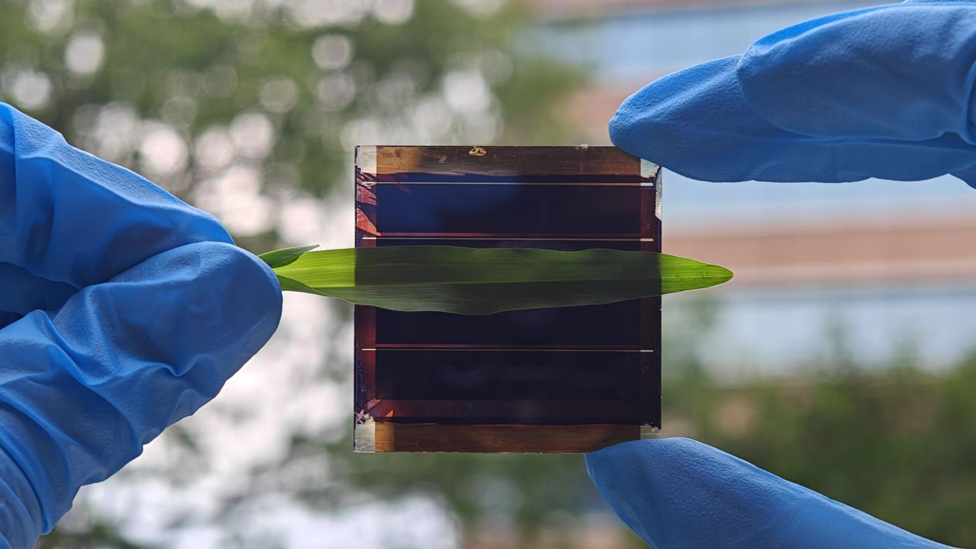 New solar cells retain 97% efficiency after 2,000-hour shading stress test