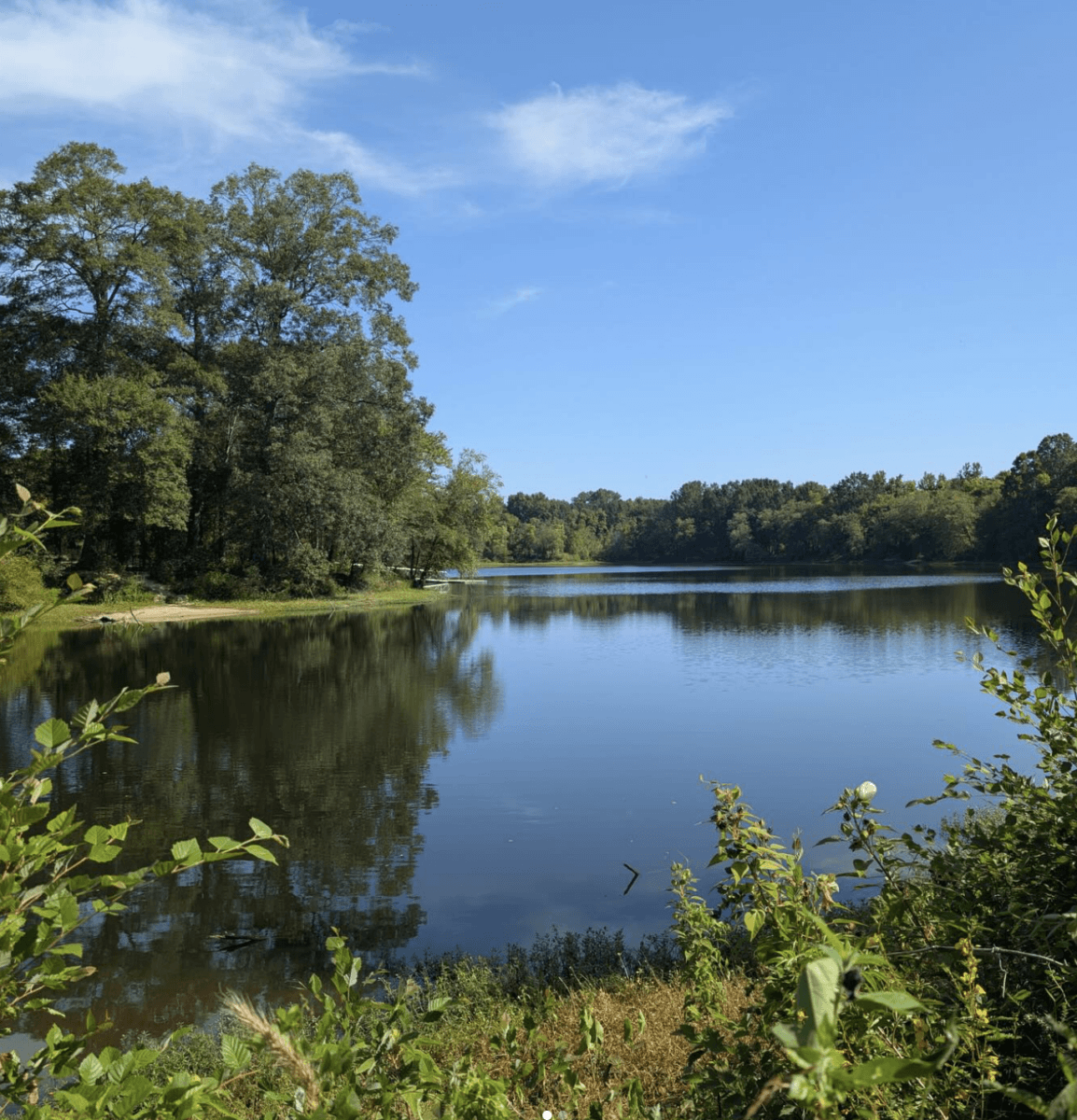 Does it get any more peaceful than this view along the Wolf River Greenway? Image: Instagram